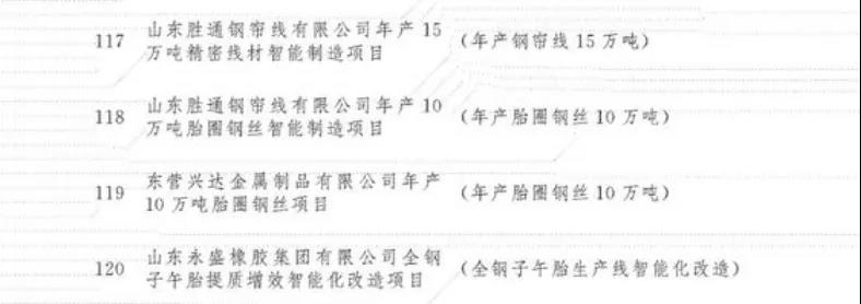 東營興達金屬制品有限公司年產10萬噸胎圈鋼絲項目