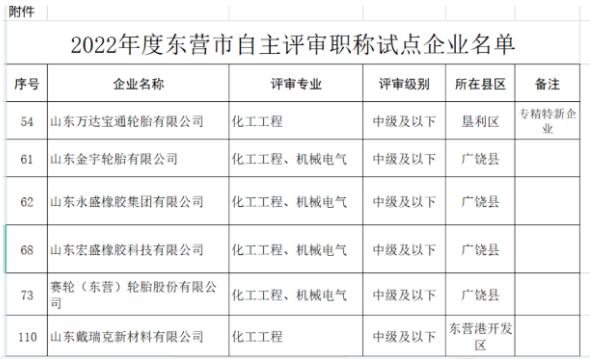 職稱自主評審，5家輪胎企業(yè)試點！